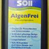 Söll Algenfrei